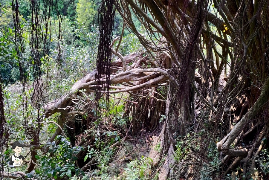 柴山131.jpg 柴山131.jpg