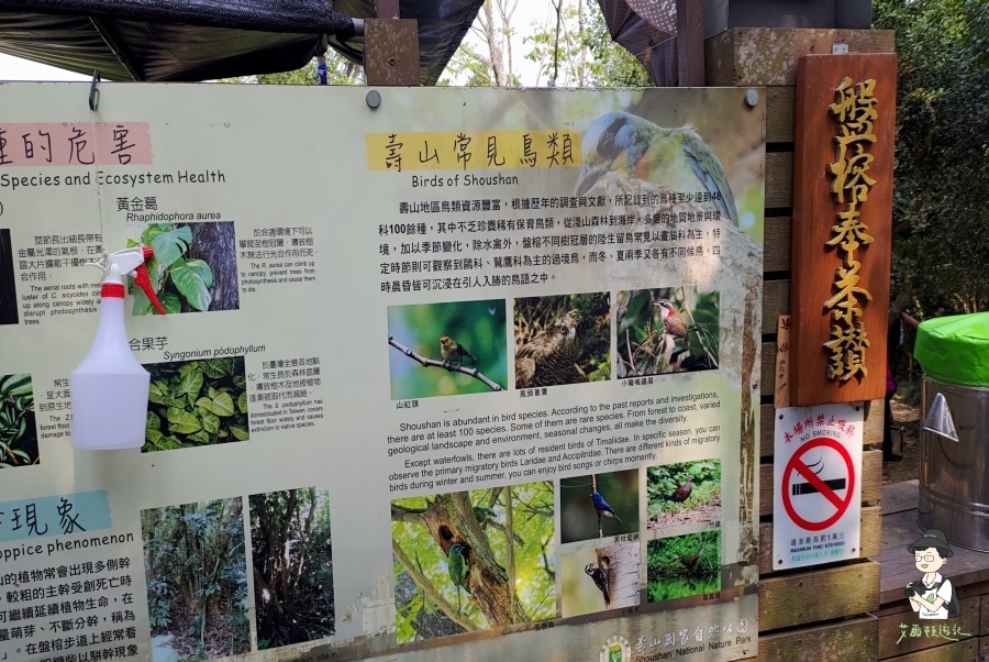 柴山134.jpg 柴山134.jpg