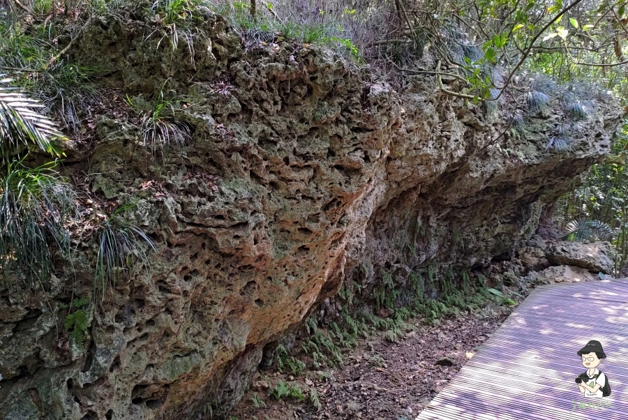 柴山138.jpg 柴山138.jpg