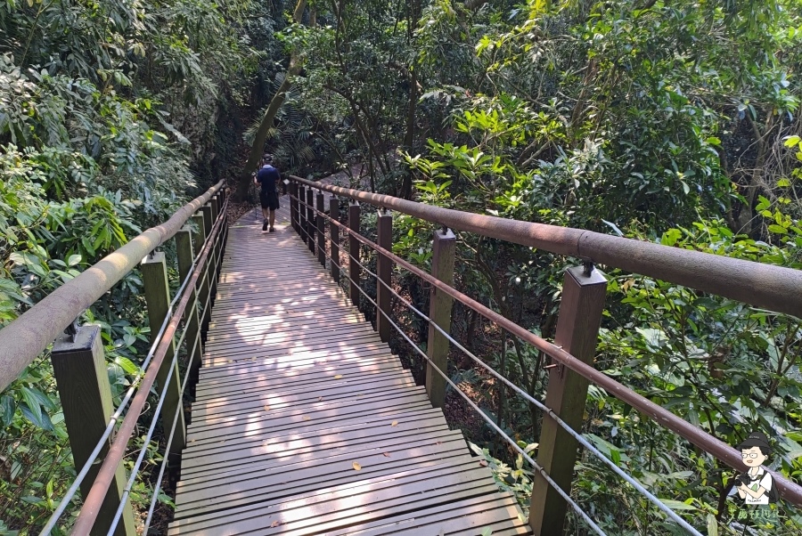 柴山137.jpg 柴山137.jpg