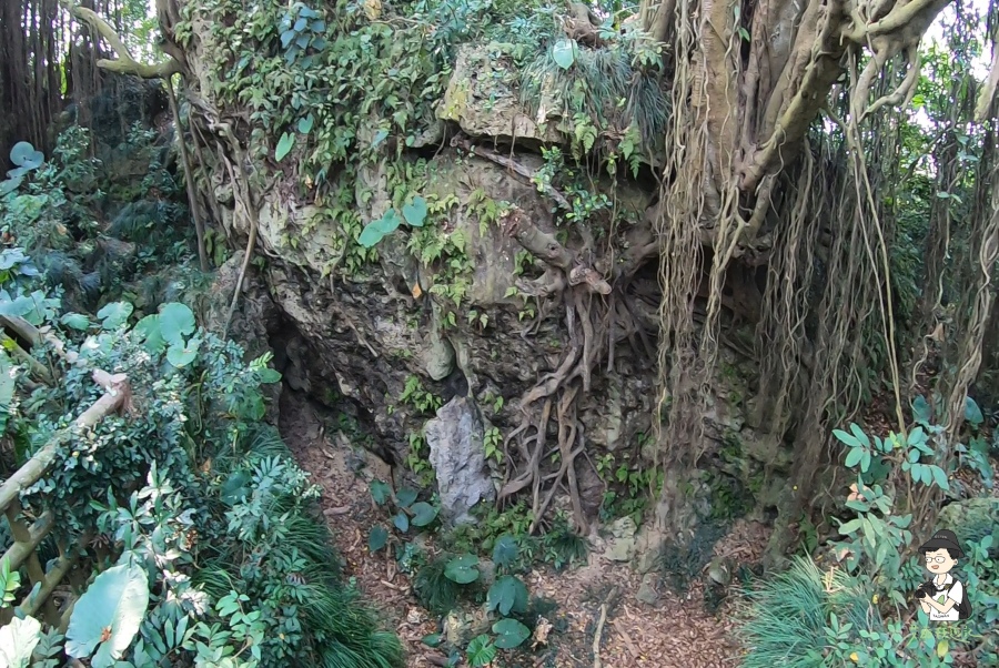 柴山140.jpg 柴山140.jpg