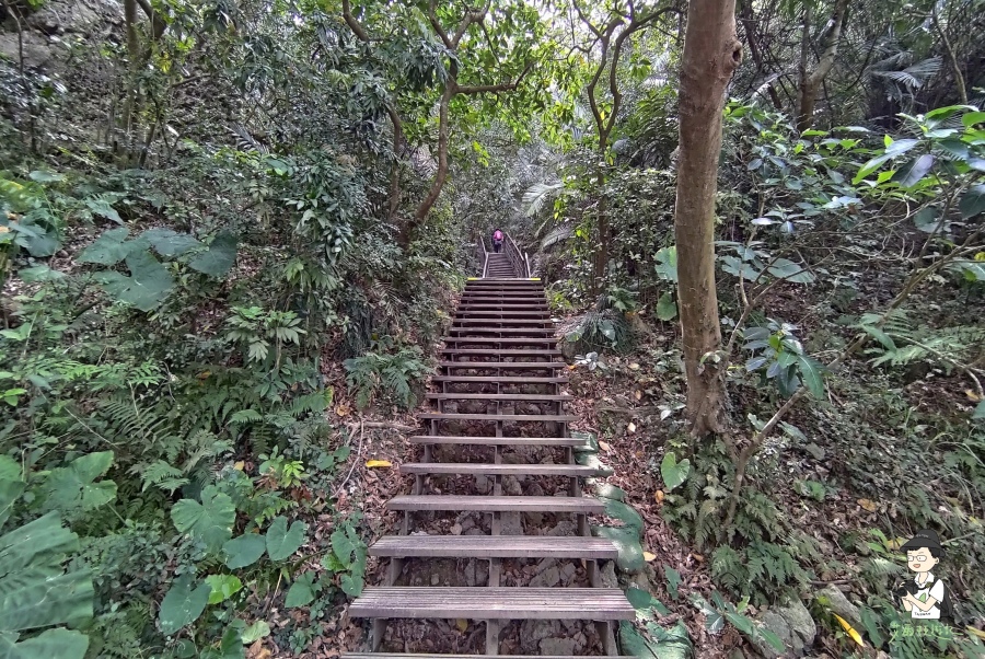 柴山126.jpg 柴山126.jpg