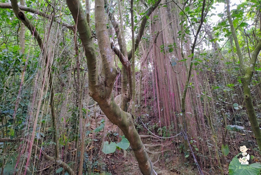 柴山124.jpg 柴山124.jpg