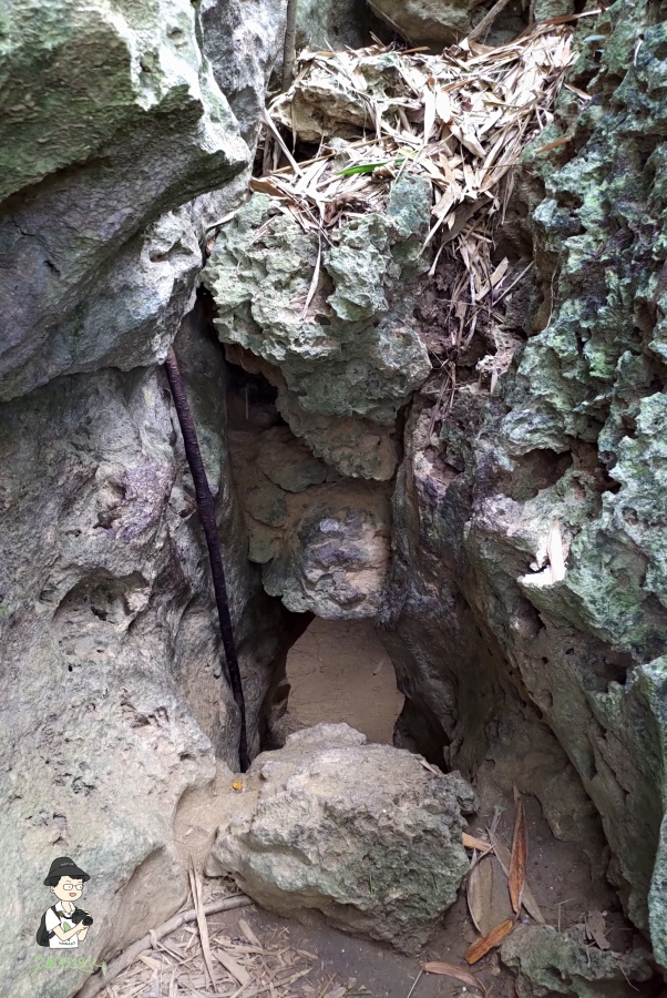 柴山148.jpg 柴山148.jpg