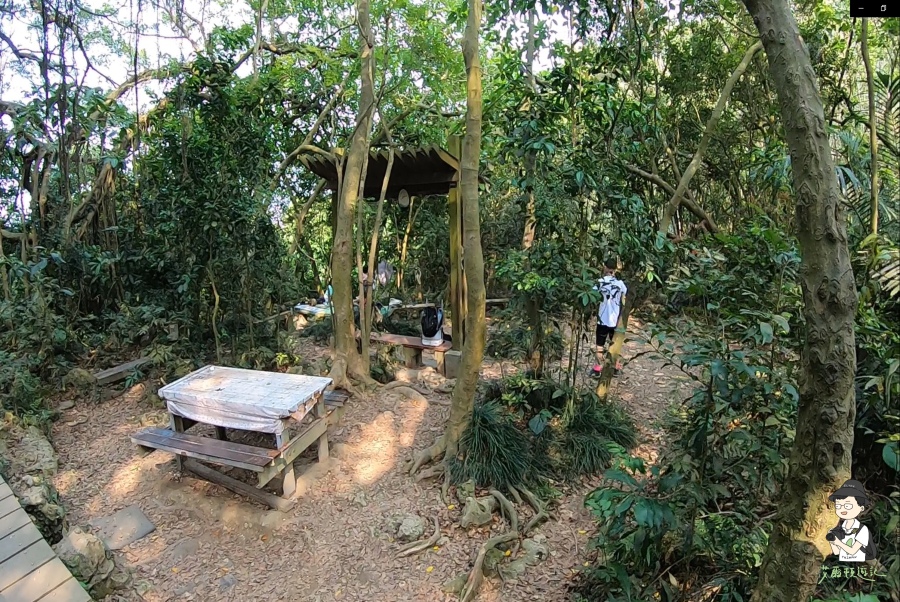 柴山139.jpg 柴山139.jpg