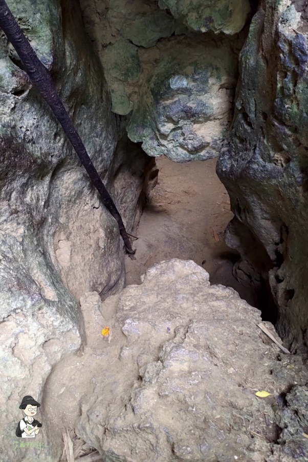 柴山149.jpg 柴山149.jpg