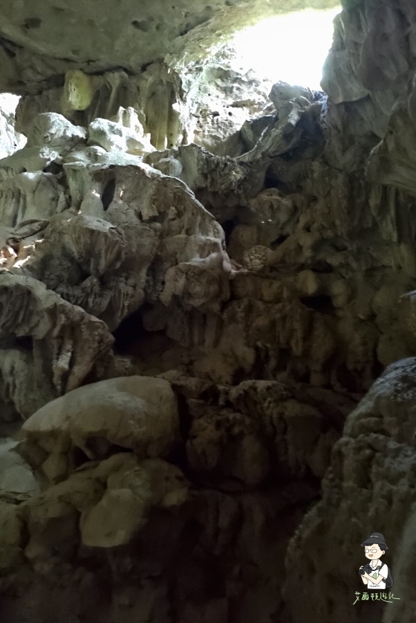 柴山145.jpg 柴山145.jpg