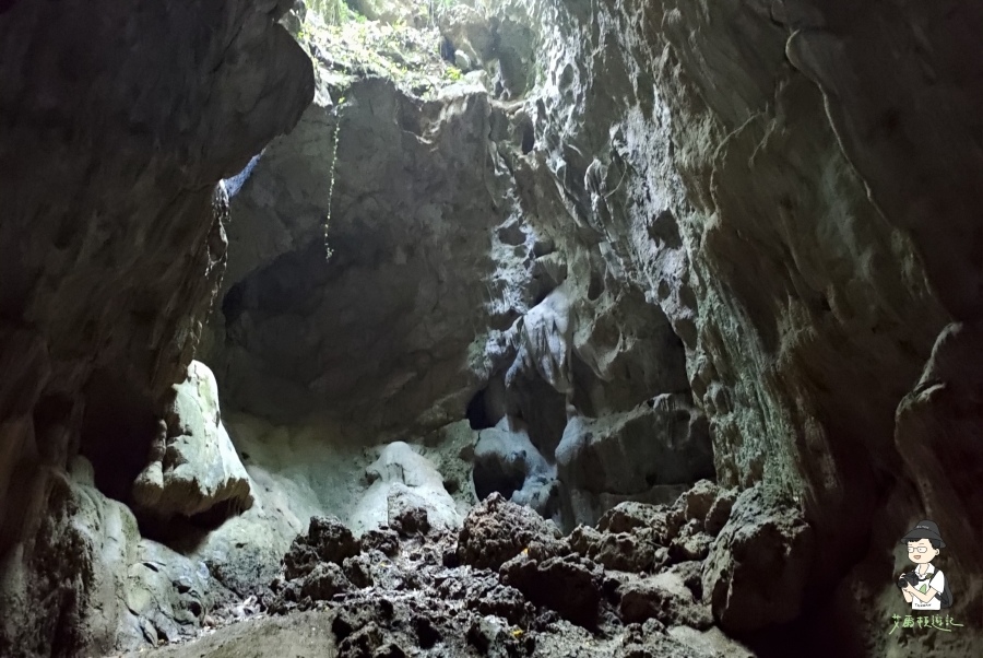 柴山156.jpg 柴山156.jpg