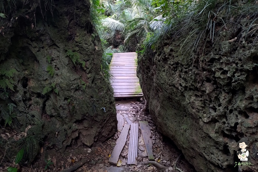 柴山161.jpg 柴山161.jpg