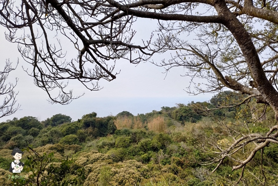 柴山166.jpg 柴山166.jpg