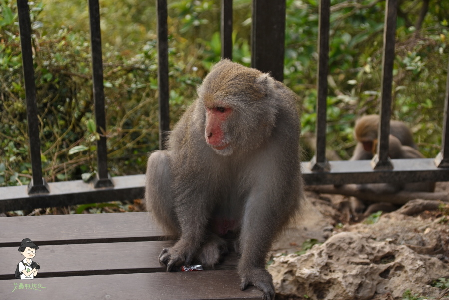 柴山167.JPG 柴山167.JPG