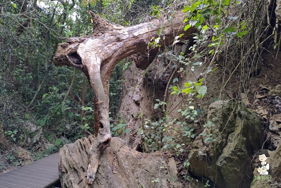 柴山172.jpg 柴山172.jpg