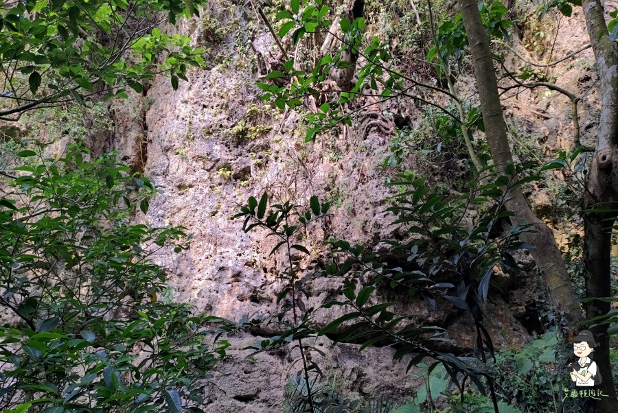 柴山174.jpg 柴山174.jpg