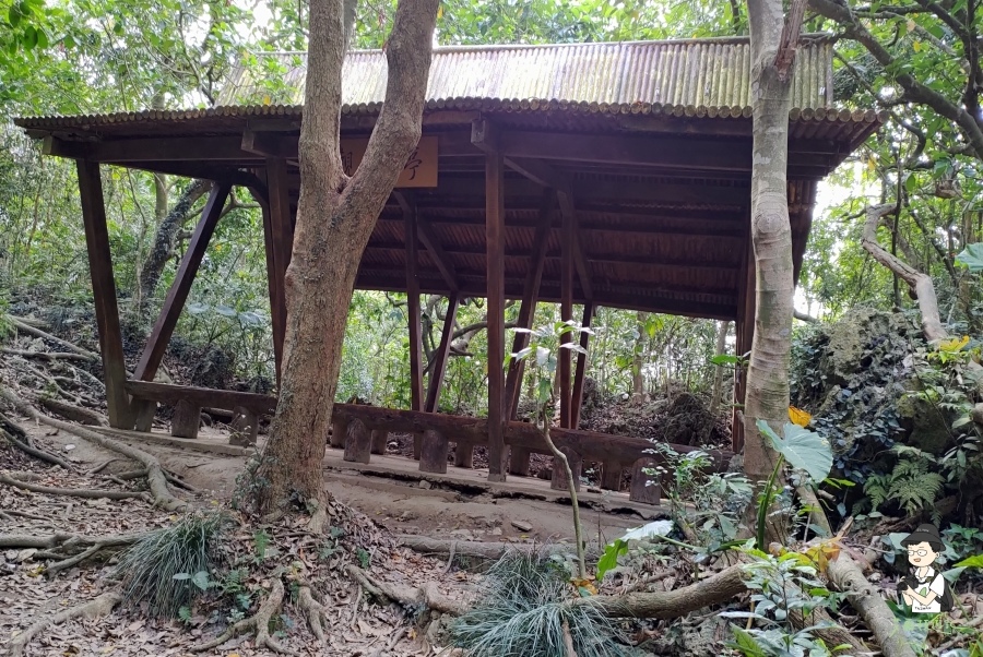 柴山173.jpg 柴山173.jpg