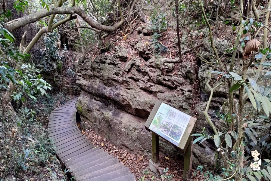 柴山185.jpg 柴山185.jpg