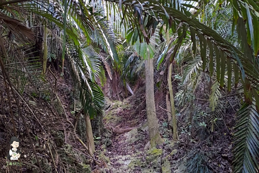 柴山192.jpg 柴山192.jpg