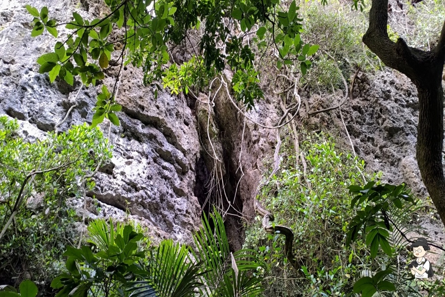 柴山184.jpg 柴山184.jpg