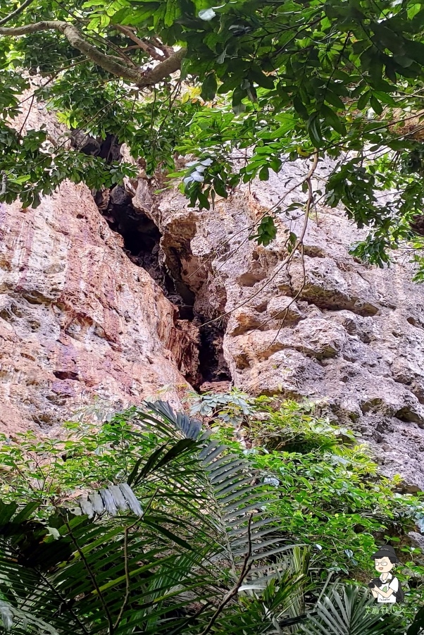 柴山181.jpg 柴山181.jpg