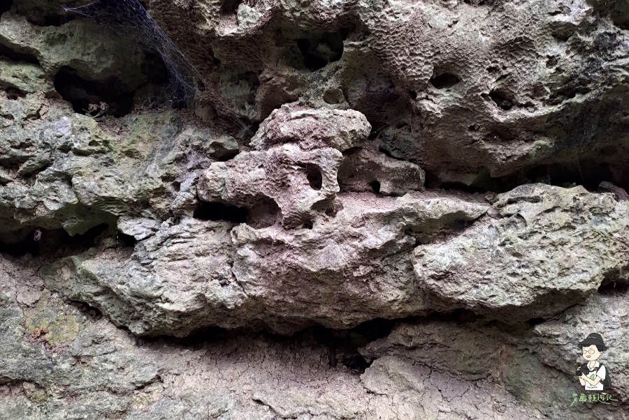 柴山187.jpg 柴山187.jpg