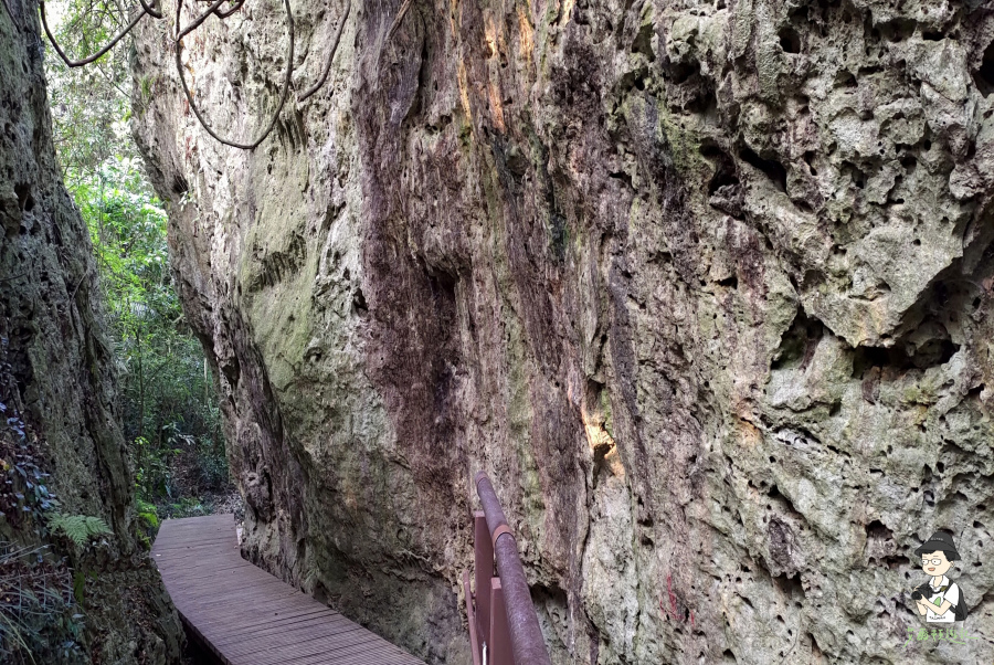 柴山177.jpg 柴山177.jpg