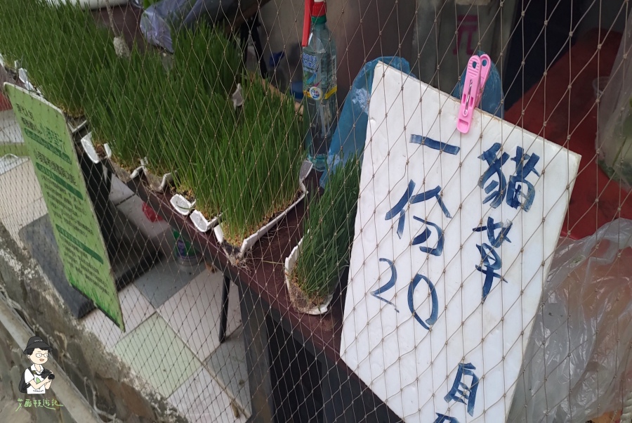 柴山200.jpg 柴山200.jpg