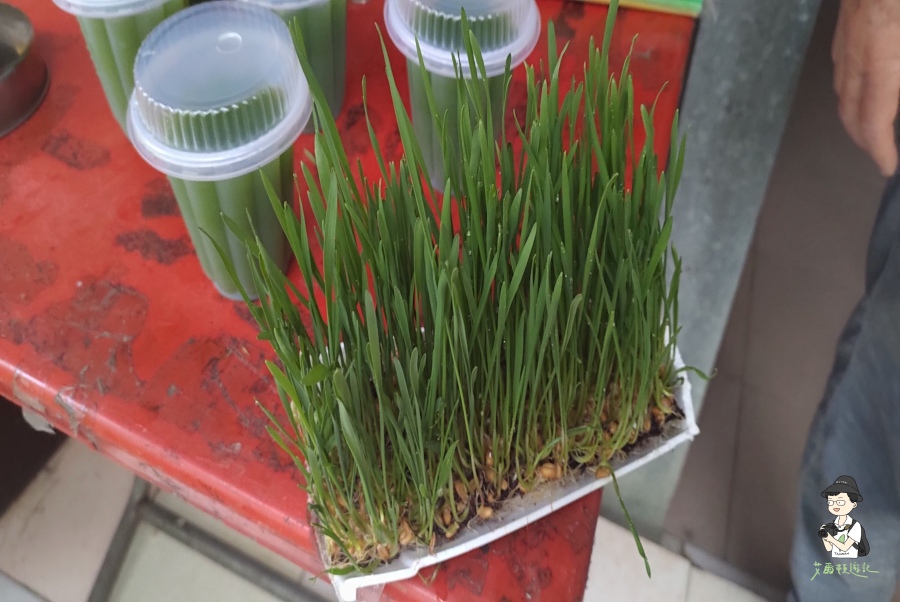 柴山201.jpg 柴山201.jpg