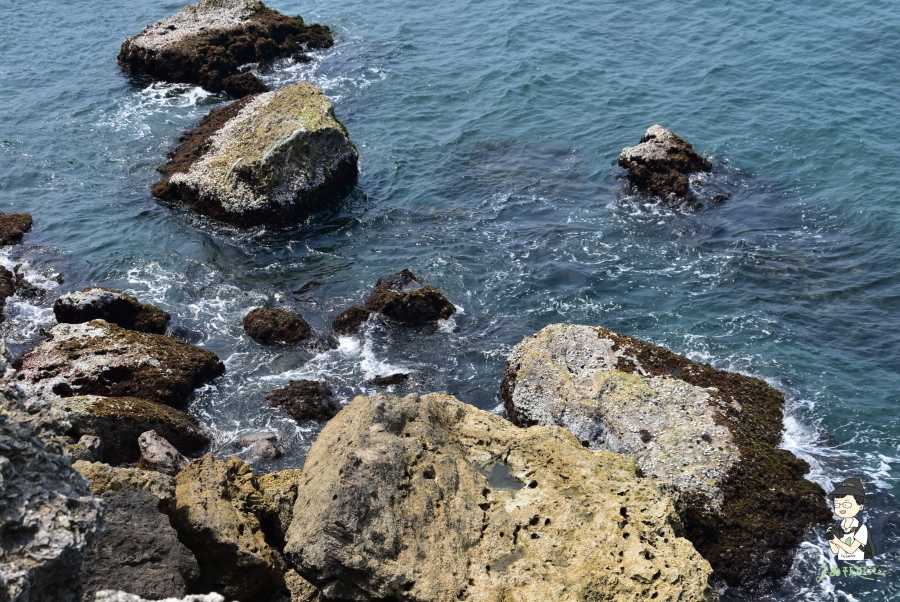 高雄海蝕洞118.JPG 高雄海蝕洞118.JPG