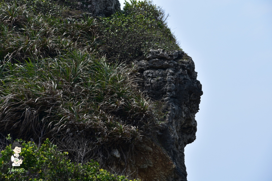 高雄海蝕洞120.JPG 高雄海蝕洞120.JPG