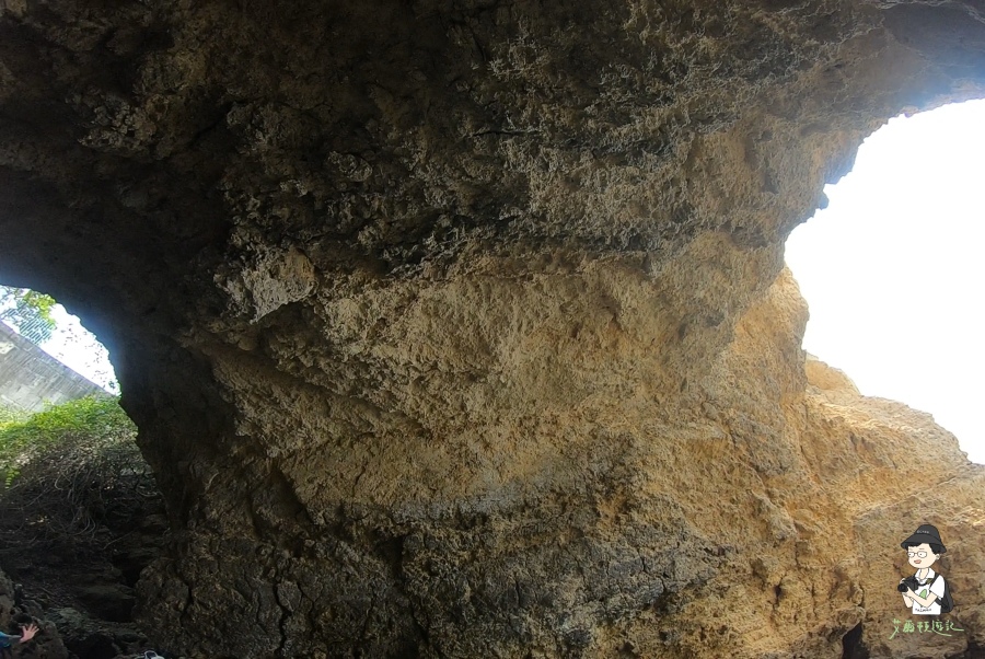 高雄海蝕洞129.jpg 高雄海蝕洞129.jpg