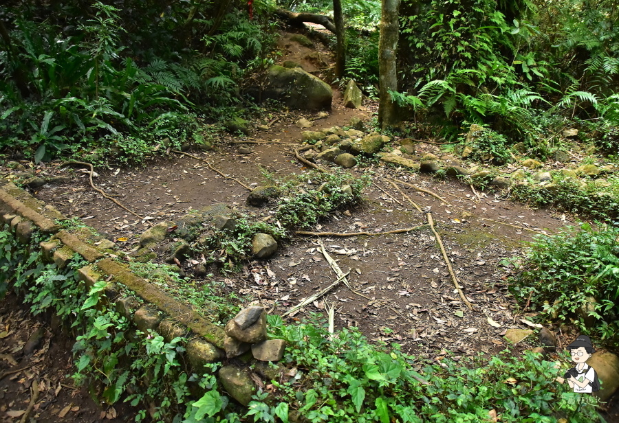 小觀音山西西峰108.JPG