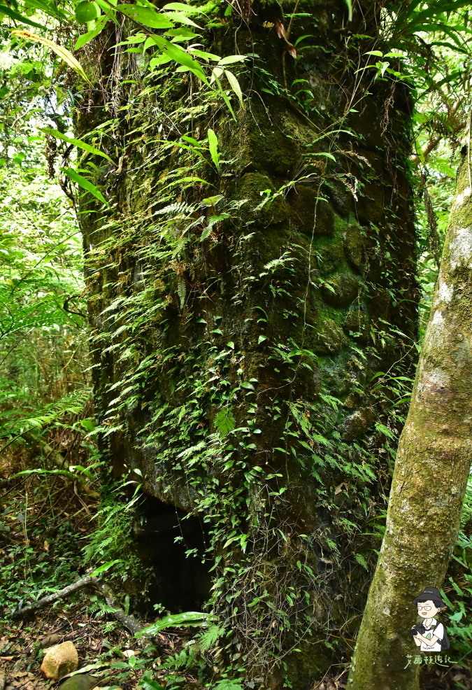 小觀音山西西峰109.JPG