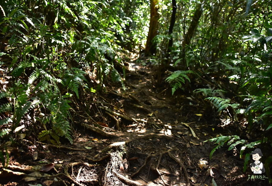 小觀音山西西峰116.JPG