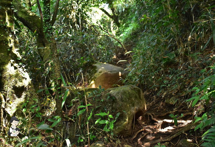 小觀音山西西峰117.JPG