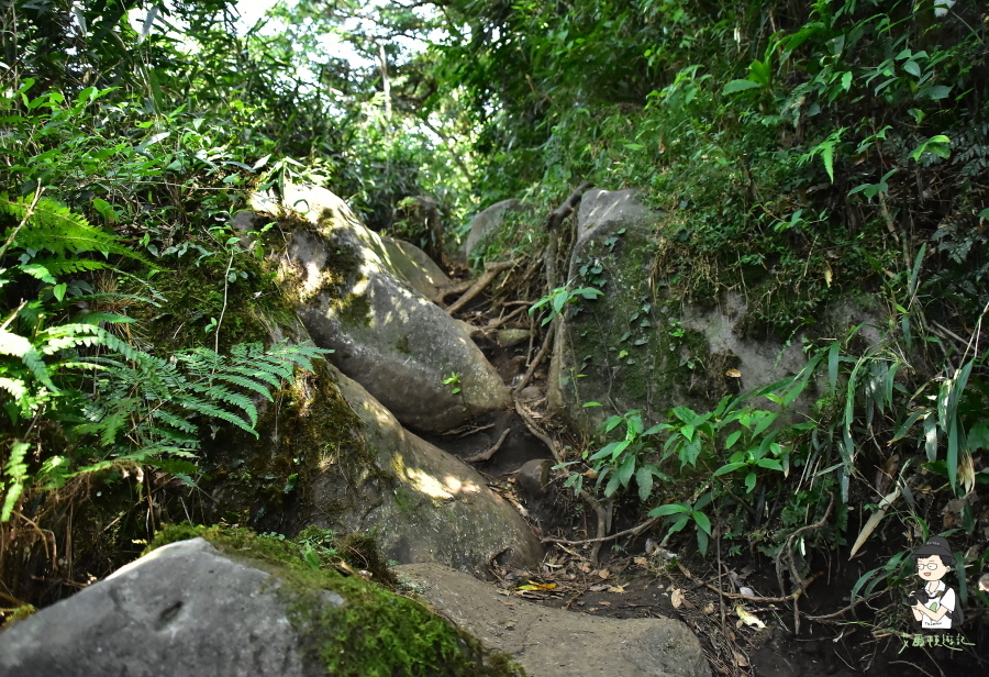 小觀音山西西峰119.JPG