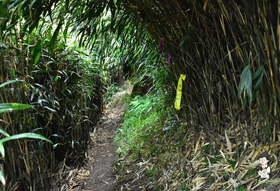 小觀音山西西峰121.JPG