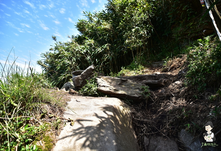 小觀音山西西峰127.JPG