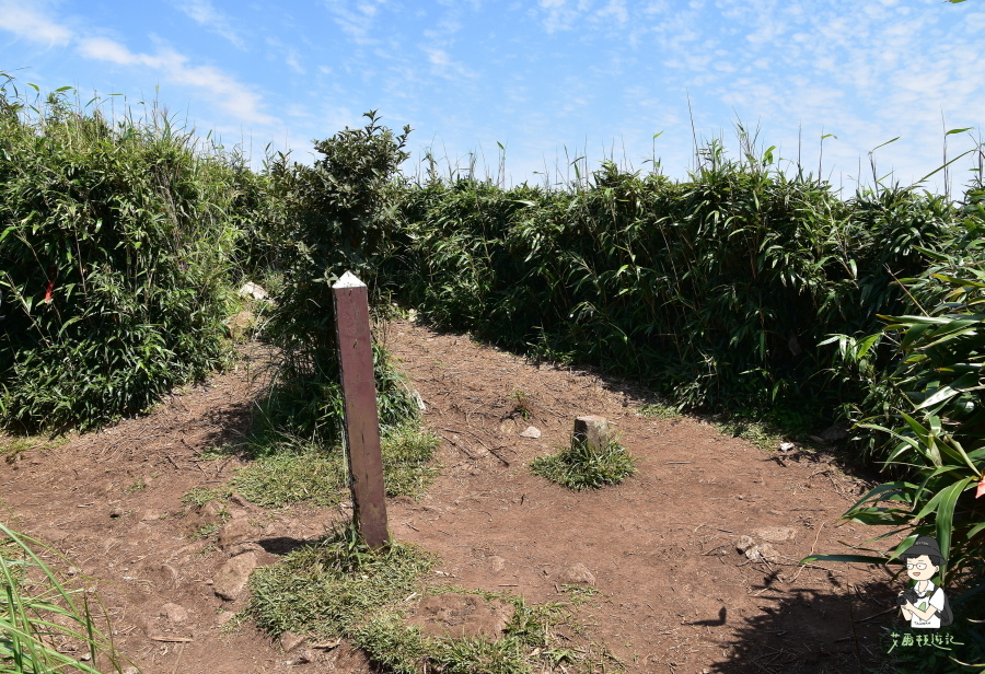 小觀音山西西峰137.JPG