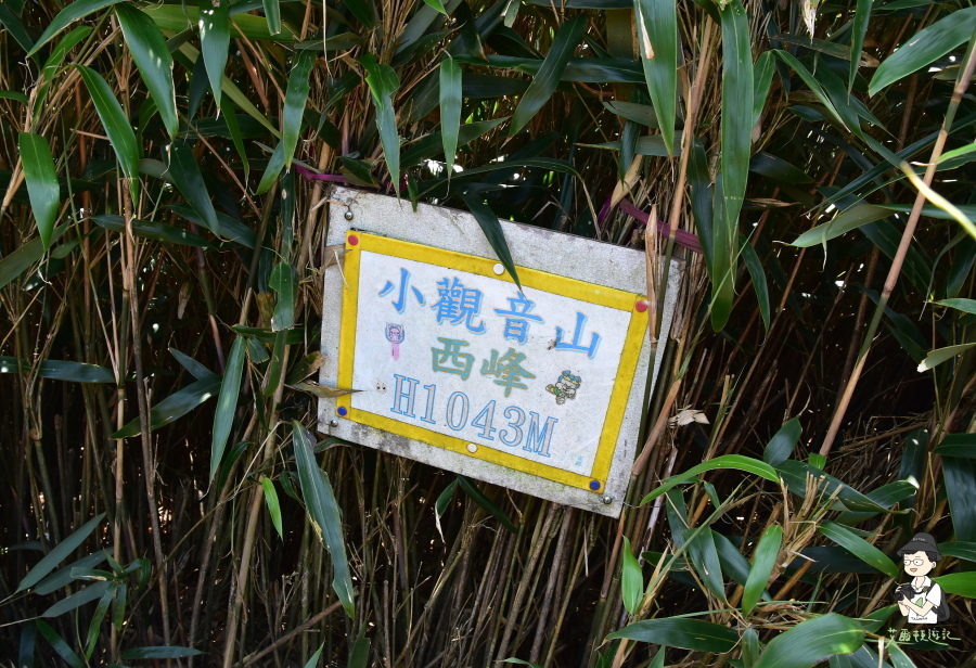 小觀音山西西峰138.JPG