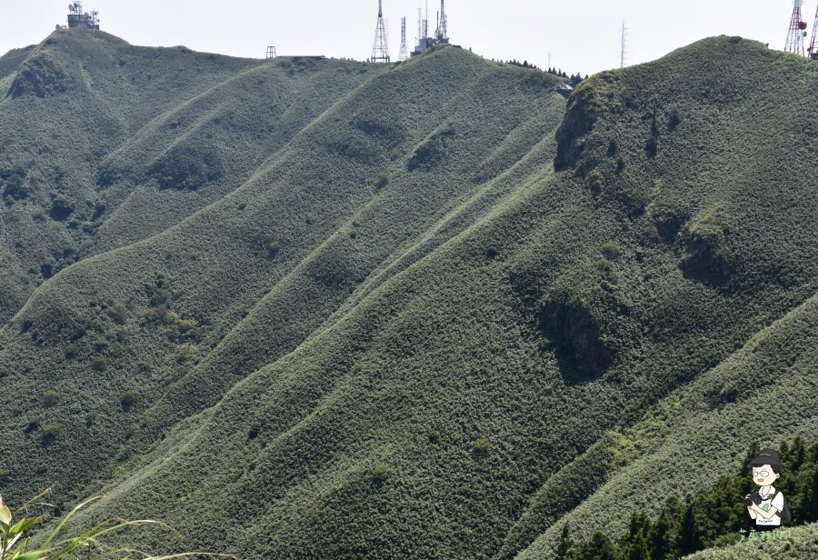 小觀音山西西峰141.JPG