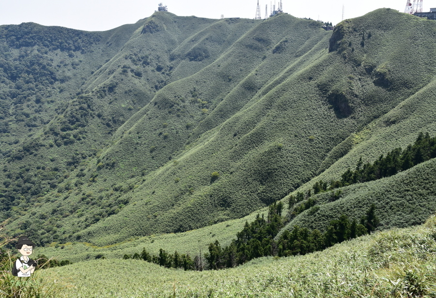 小觀音山西西峰146.JPG