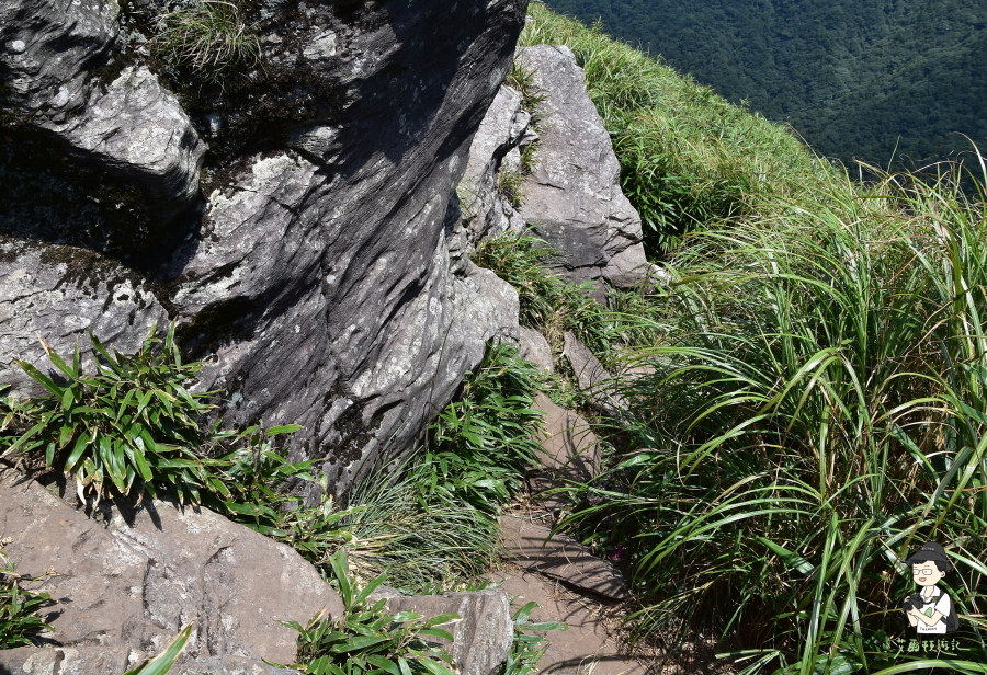 小觀音山西西峰151.JPG