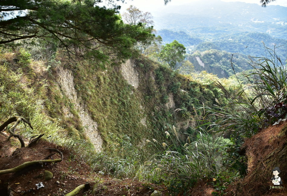 大坑山5號142.JPG