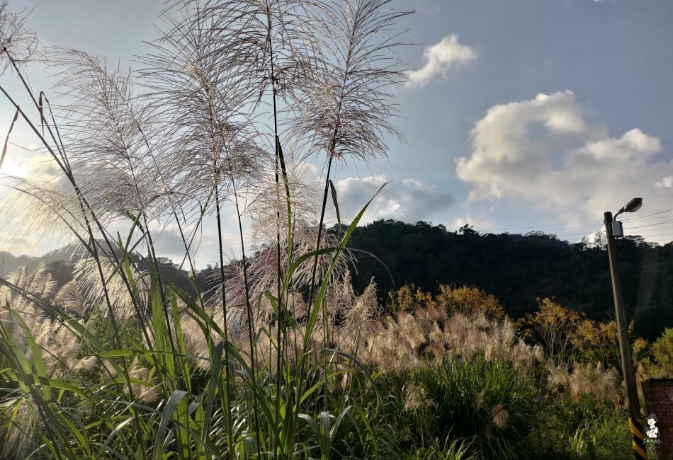 鳴鳳古道140.jpg