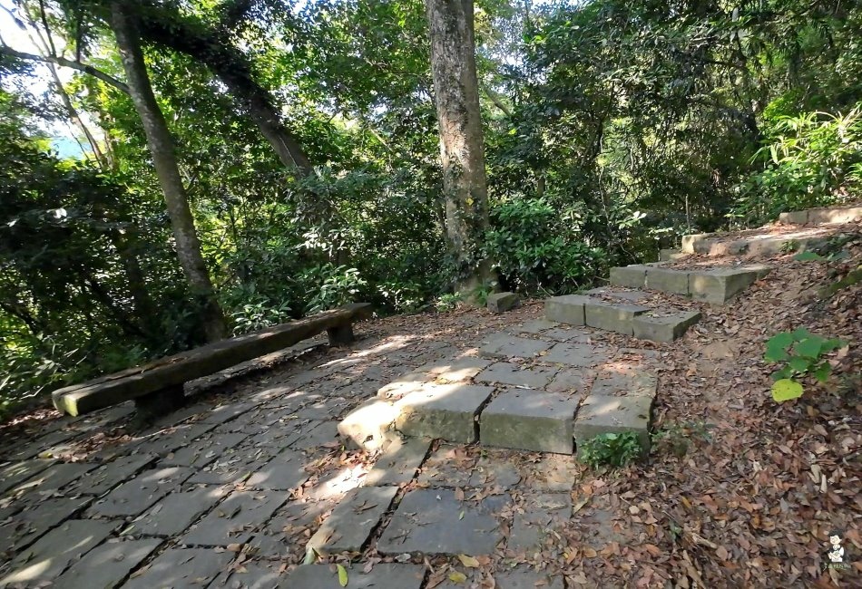 鳴鳳古道.獅潭老街