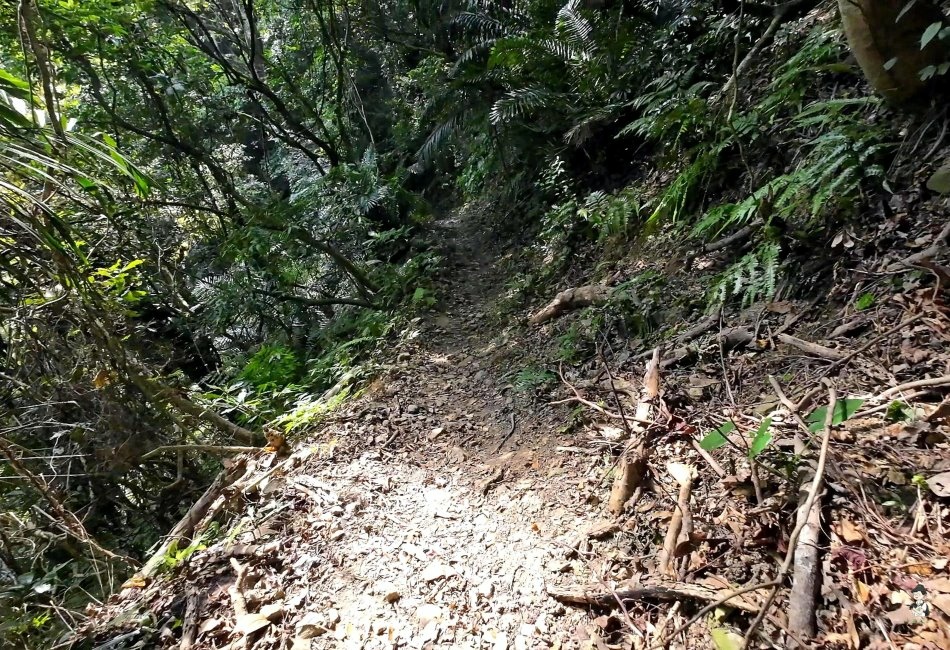 鳴鳳古道.獅潭老街