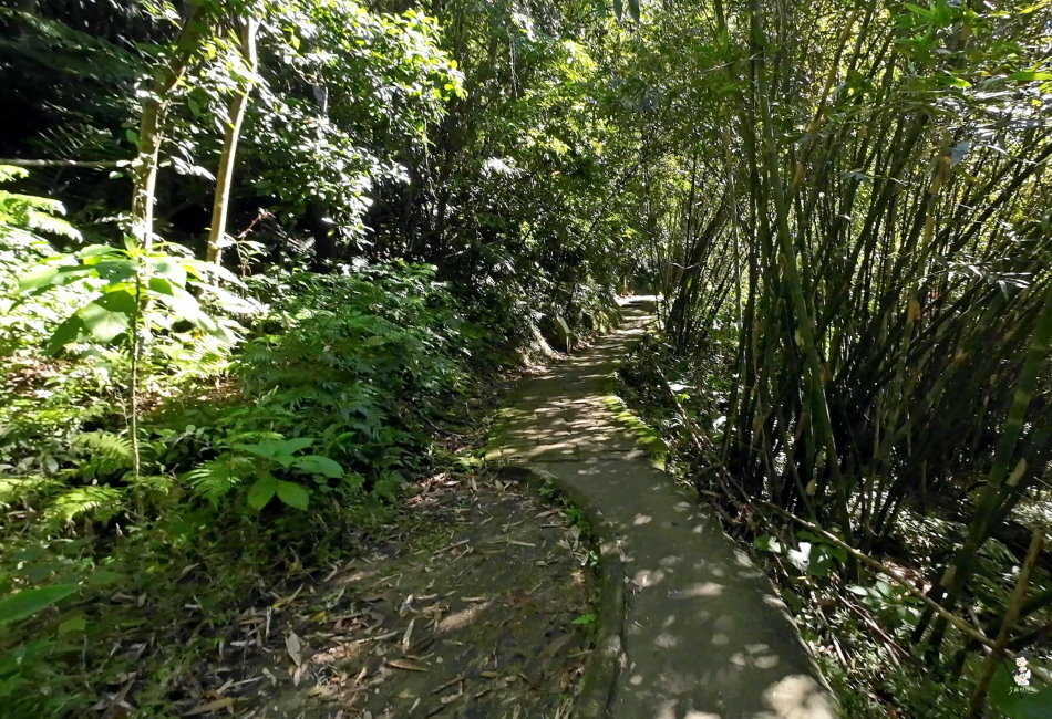 永春坡生態濕地公園.拇指山