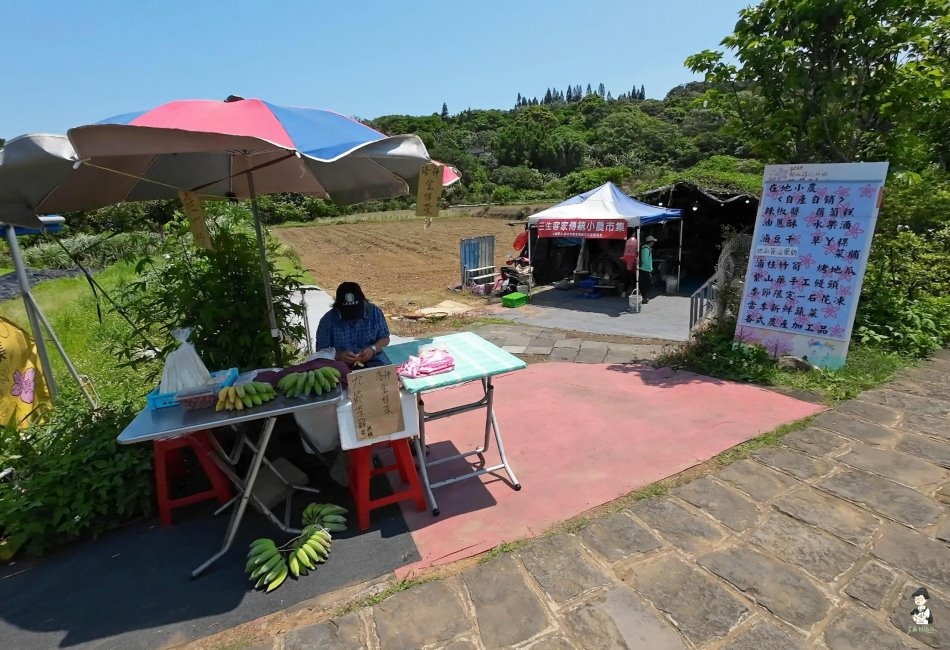 三芝桐花步道148.jpg