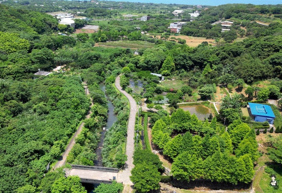 三芝桐花步道162.jpg