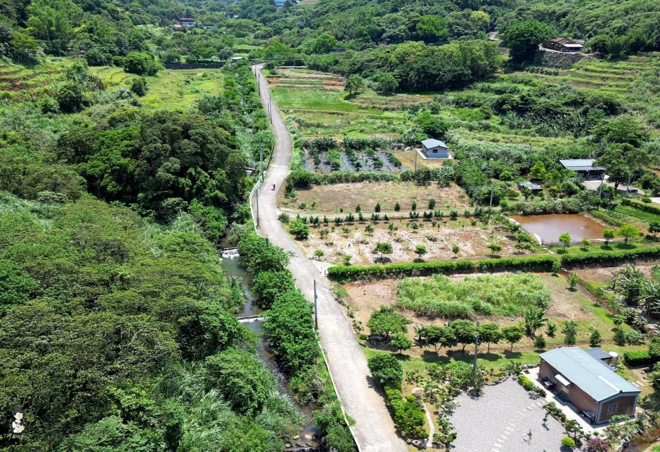 三芝桐花步道161.jpg