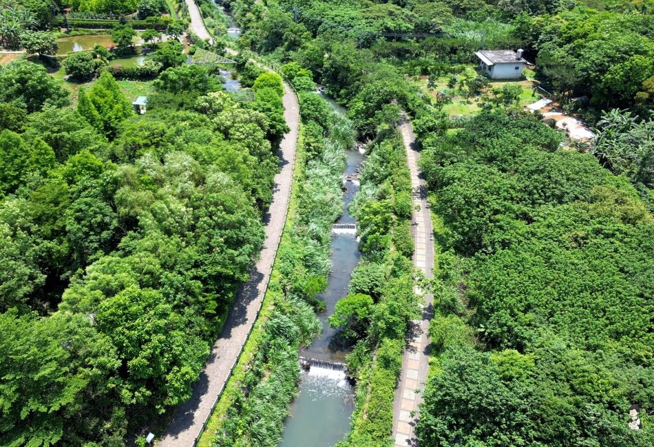 三芝桐花步道163.jpg